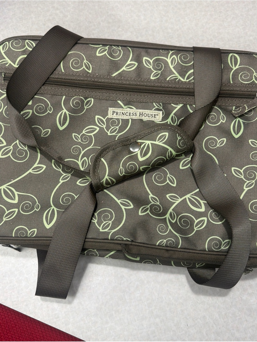 Princess House carry bag hot and cold 2 in 1 never used